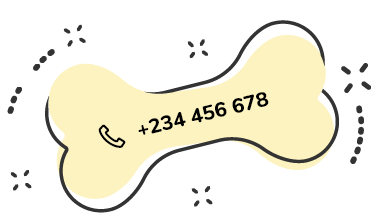 https://www.banhonopet.com.br/wp-content/uploads/2019/07/text_02.png