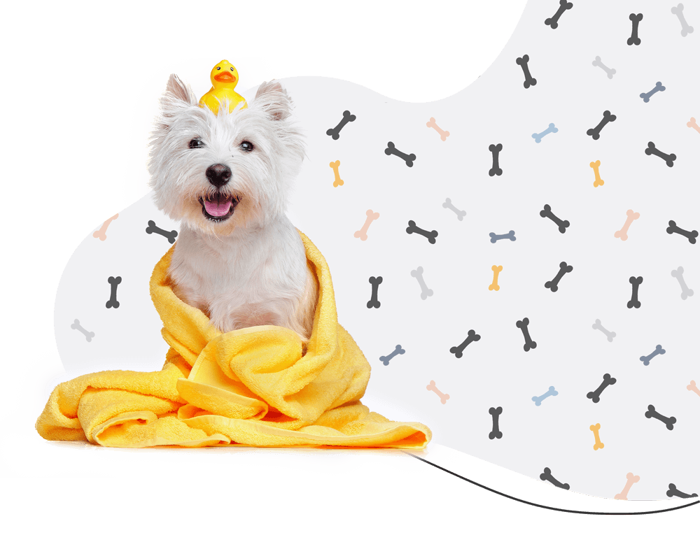https://www.banhonopet.com.br/wp-content/uploads/2019/08/hero_prices.png